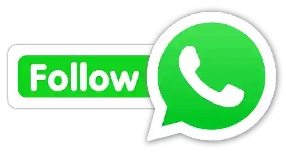 All Rummy Game WhatsApp